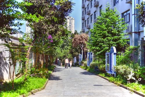 新山村街道扎实推进老旧住宅区物业管理提升，老小区焕发新活力